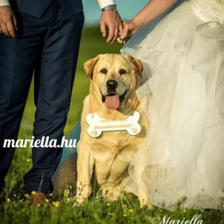 Kutyusoknak esküvőre :-)