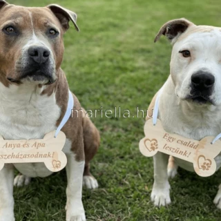 Kutyusoknak esküvőre :-)